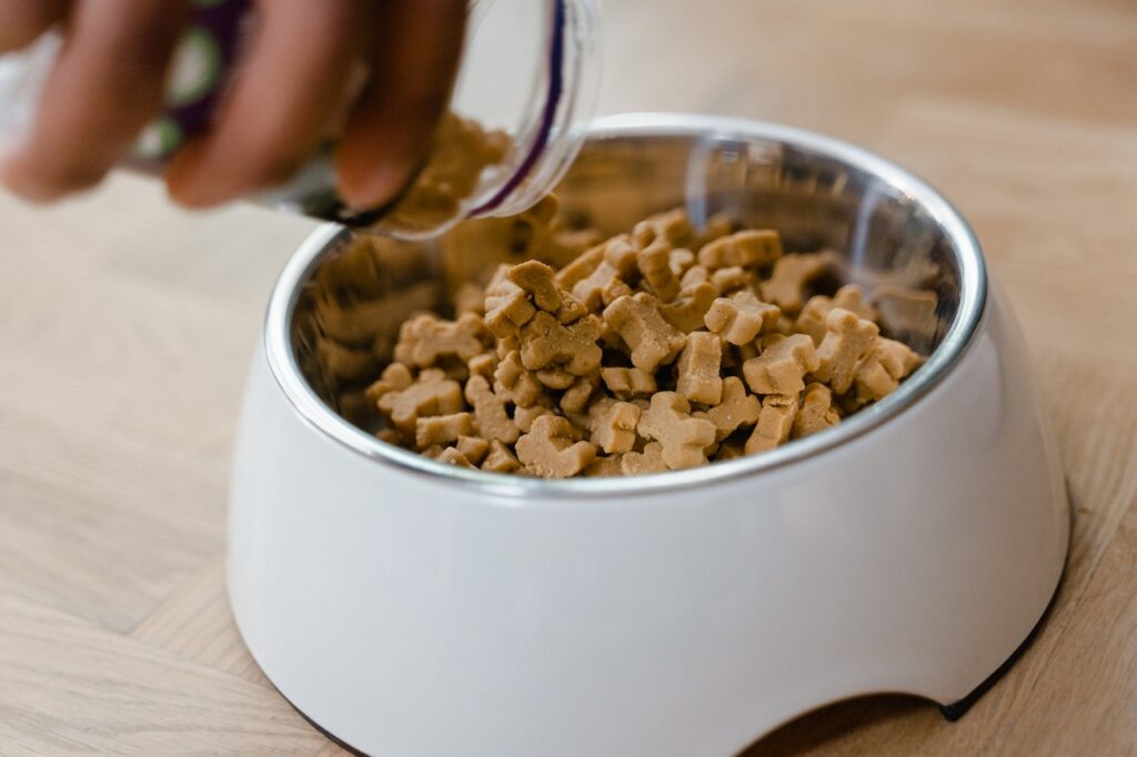 10 tips to help you make healthy food choices for your dog: